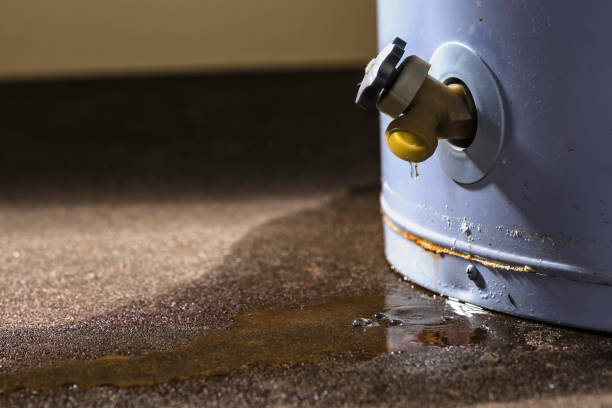 Best Mold removal after water damage  in Laguna Beach, CA