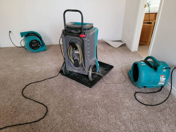 Best Water damage restoration mold remediation  in Laguna Beach, CA
