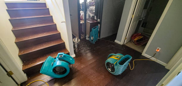 Best Flood damage cleanup  in Laguna Beach, CA