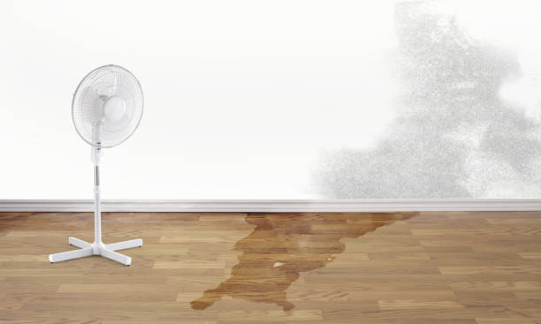Best Ceiling water damage repair  in Laguna Beach, CA