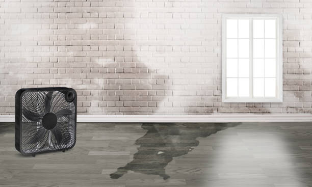 Best Sewage cleanup and water damage restoration  in Laguna Beach, CA