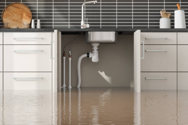  Laguna Beach, CA Water damage restoration Pros