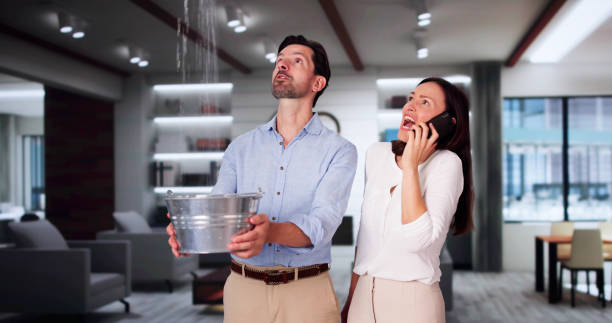 Best Basement water damage restoration  in Laguna Beach, CA