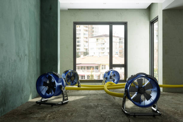 Best Flood damage cleanup  in Laguna Beach, CA